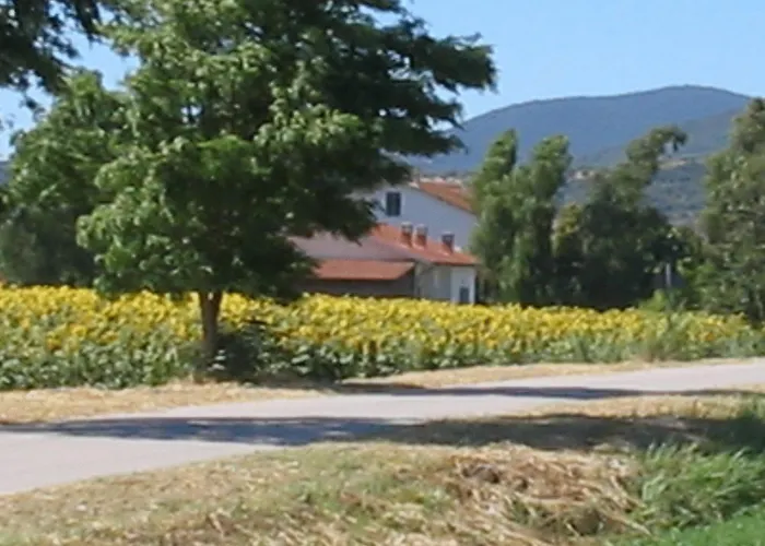 Agriturismo San Luigi